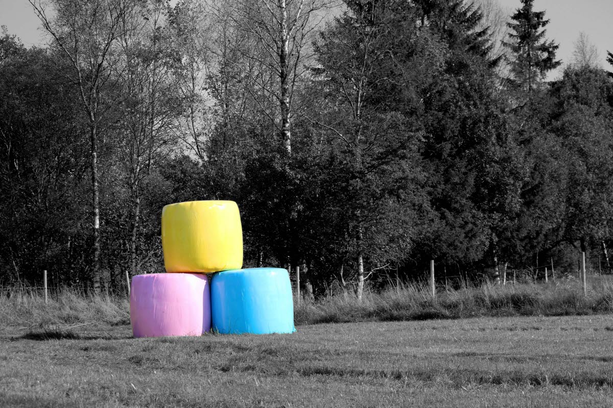 We’re celebrating 10 years of charity bales | Tenospin