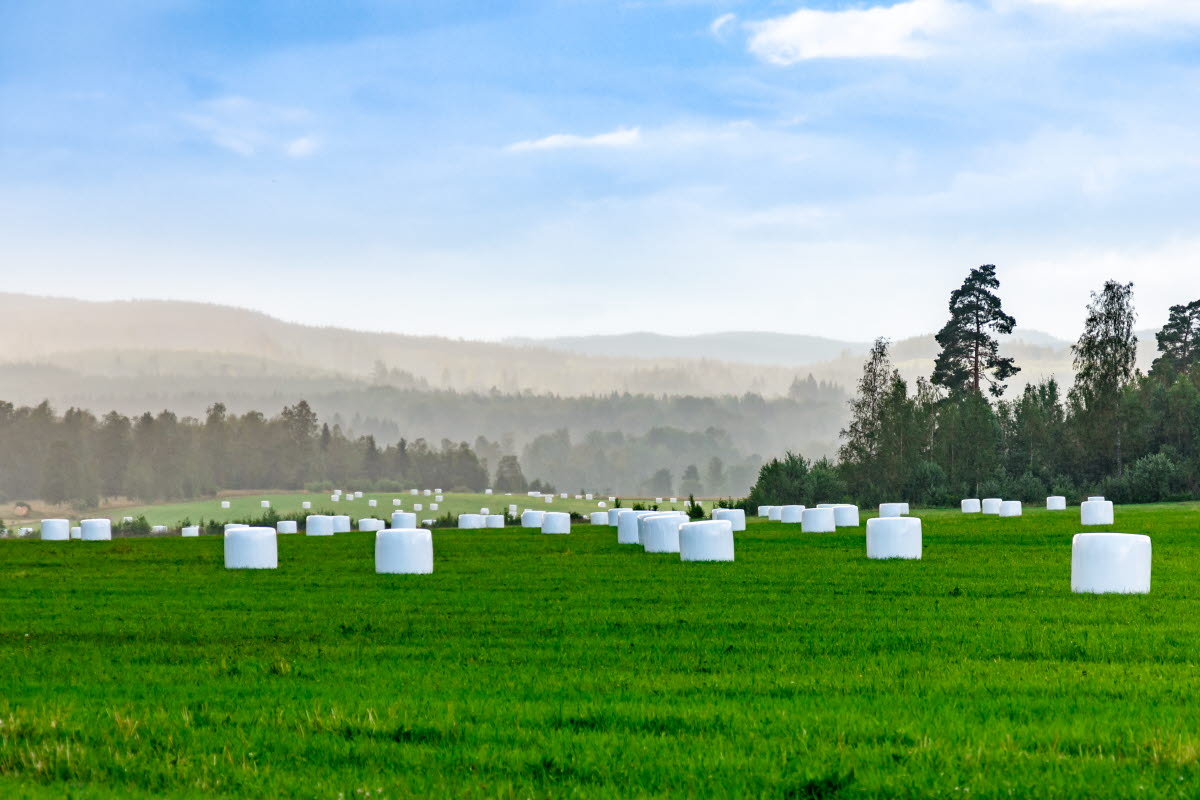 Five million bales wrapped with PCR content